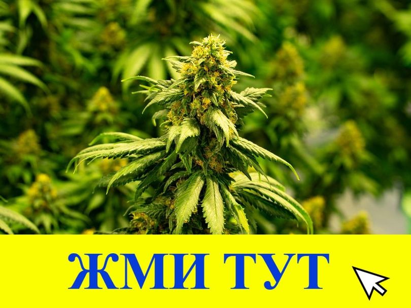 Купить наркотики в Усть-Илимске